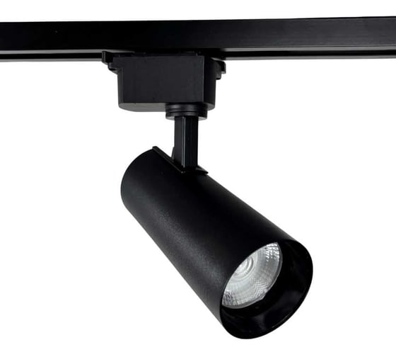 Изображение товара Светильник светодиодный трековый однофазный поворотный truEnergy 20W 4000K D60мм алюминий черный 24081