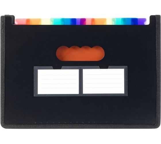 Изображение товара Лоток-органайзер для хранения документов Стамм А4, 25 отделений, черный ММ-322771