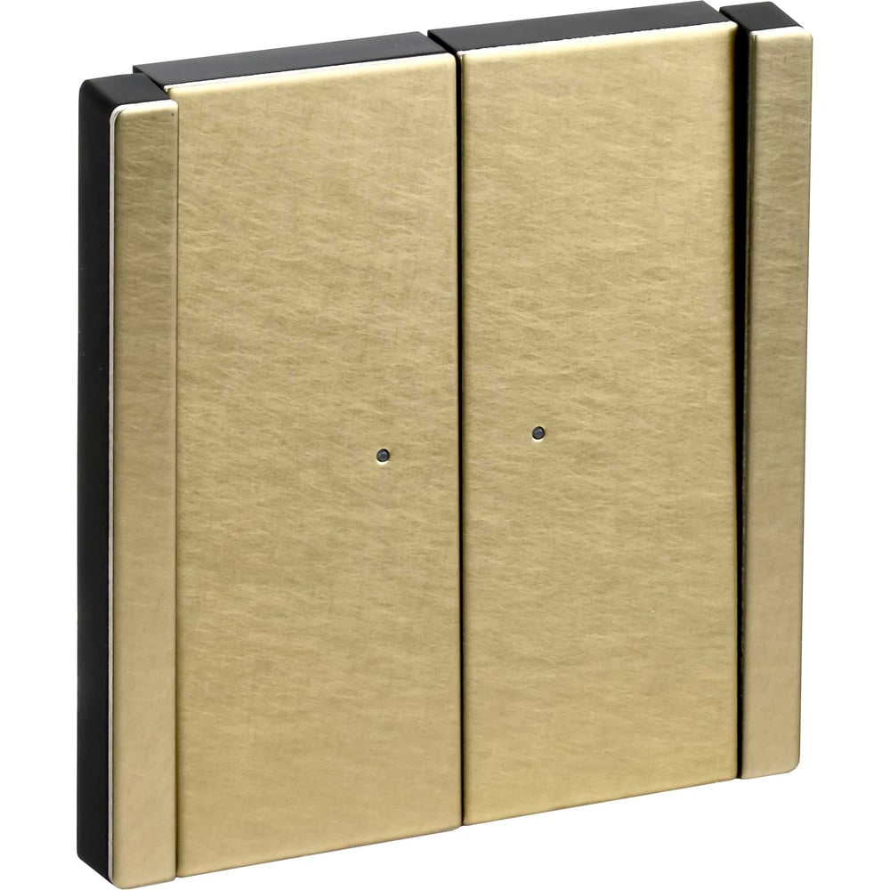 Изображение товара Выключатель 2-клавишный IEK FORTE&PIANO с индикатором шампань 10А FP606M