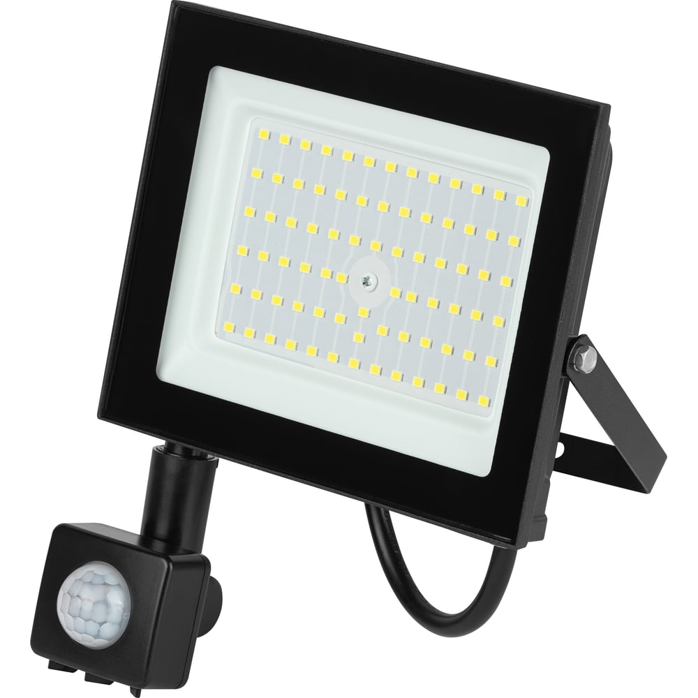 Изображение товара Уличный светодиодный прожектор ЭРА RED LINE 100 Вт IP65 холодный белый