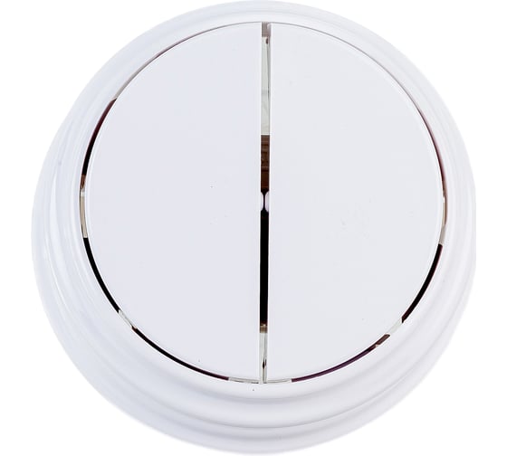 Изображение товара 2-клавишный выключатель Bylectrica А510-2202 10А открытой установки, серия РЕТРО, белый, А510-2202