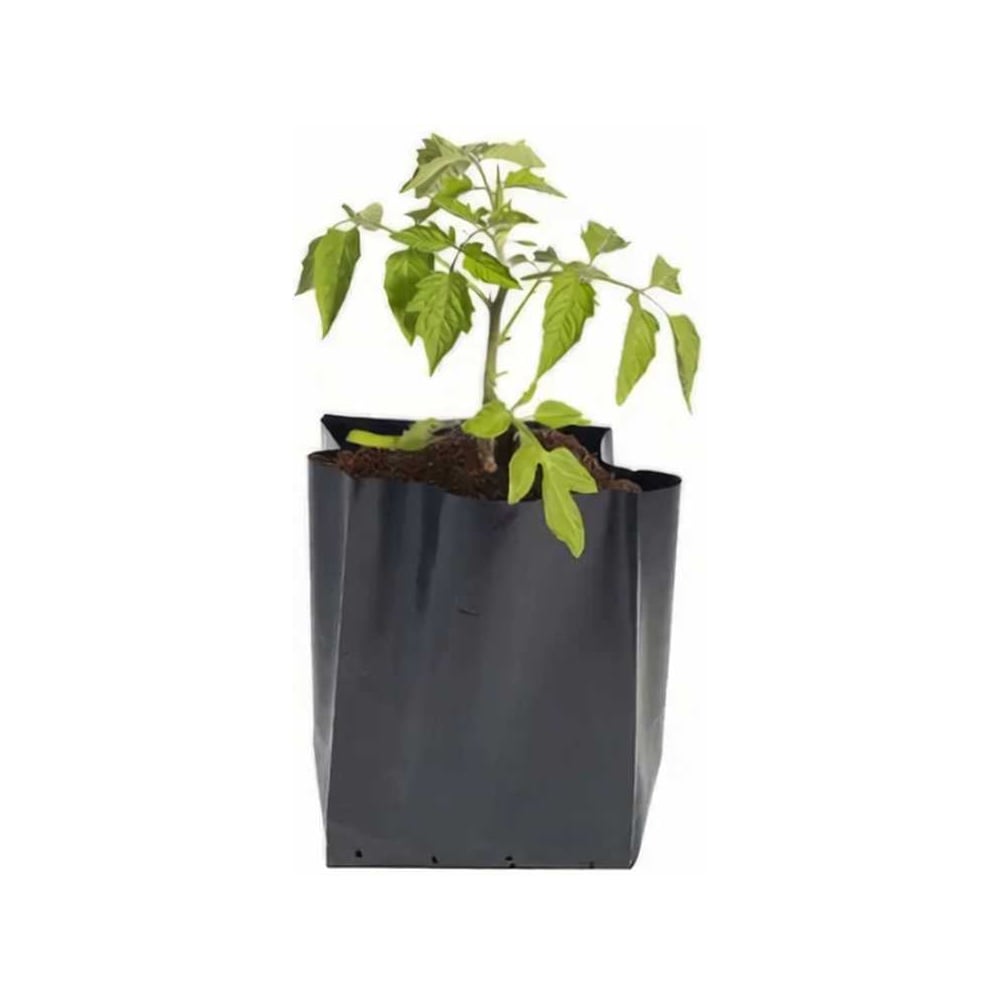 Изображение товара Пакет для рассады ЛЕТО 3л 100 шт полиэтилен прямоугольный