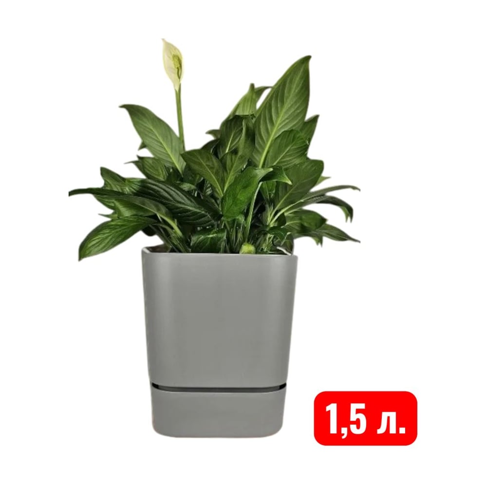 Изображение товара Горшок Аласта Квадрат Гранд 1.5 л серый муссон пластиковый с поддоном