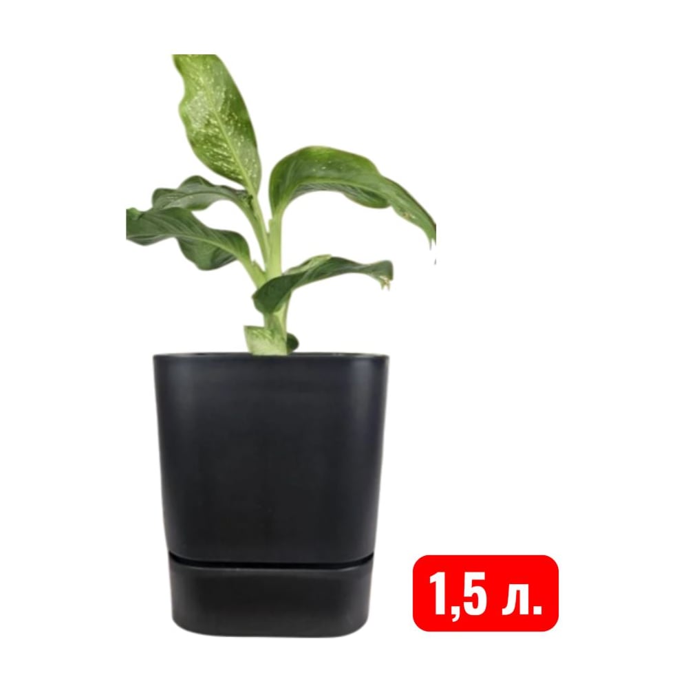 Изображение товара Горшок для цветов Аласта Квадрат Гранд 1.5 л черный для домашних растений
