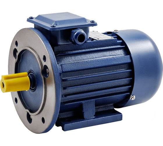 Изображение товара Электродвигатель ТМ БЭЗ АИР 100S2 IM2081 4 кВт/3000 об/мин 79083