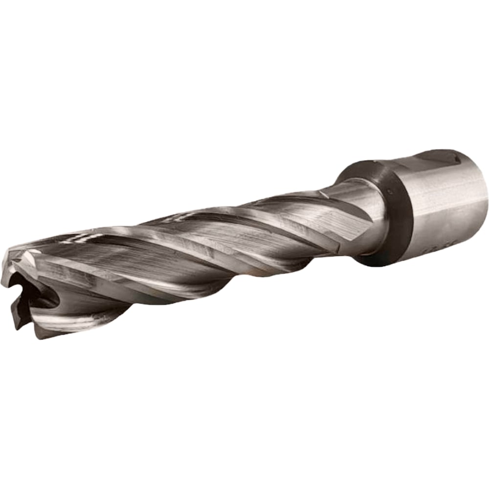 Сверло корончатое TIGER Cut Weldon 19 13х55 мм HSS 4011355
