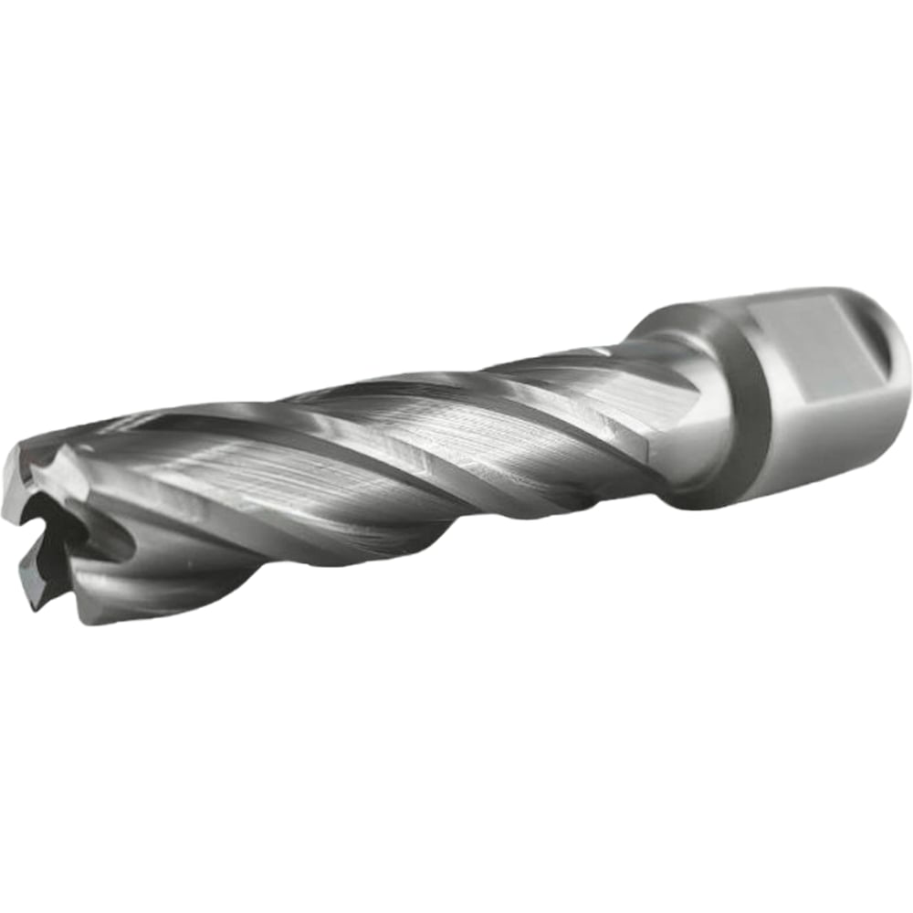 Сверло корончатое TIGER Cut Weldon 19 14х55 мм HSS 4011455