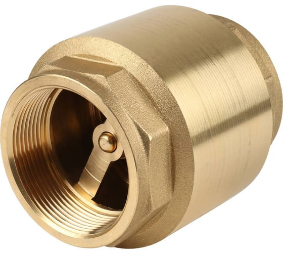 Изображение товара Клапан обратный пружинный муфтовый Itap EUROPA 100 2''с металлическим седлом RAN30F22E9DN0P