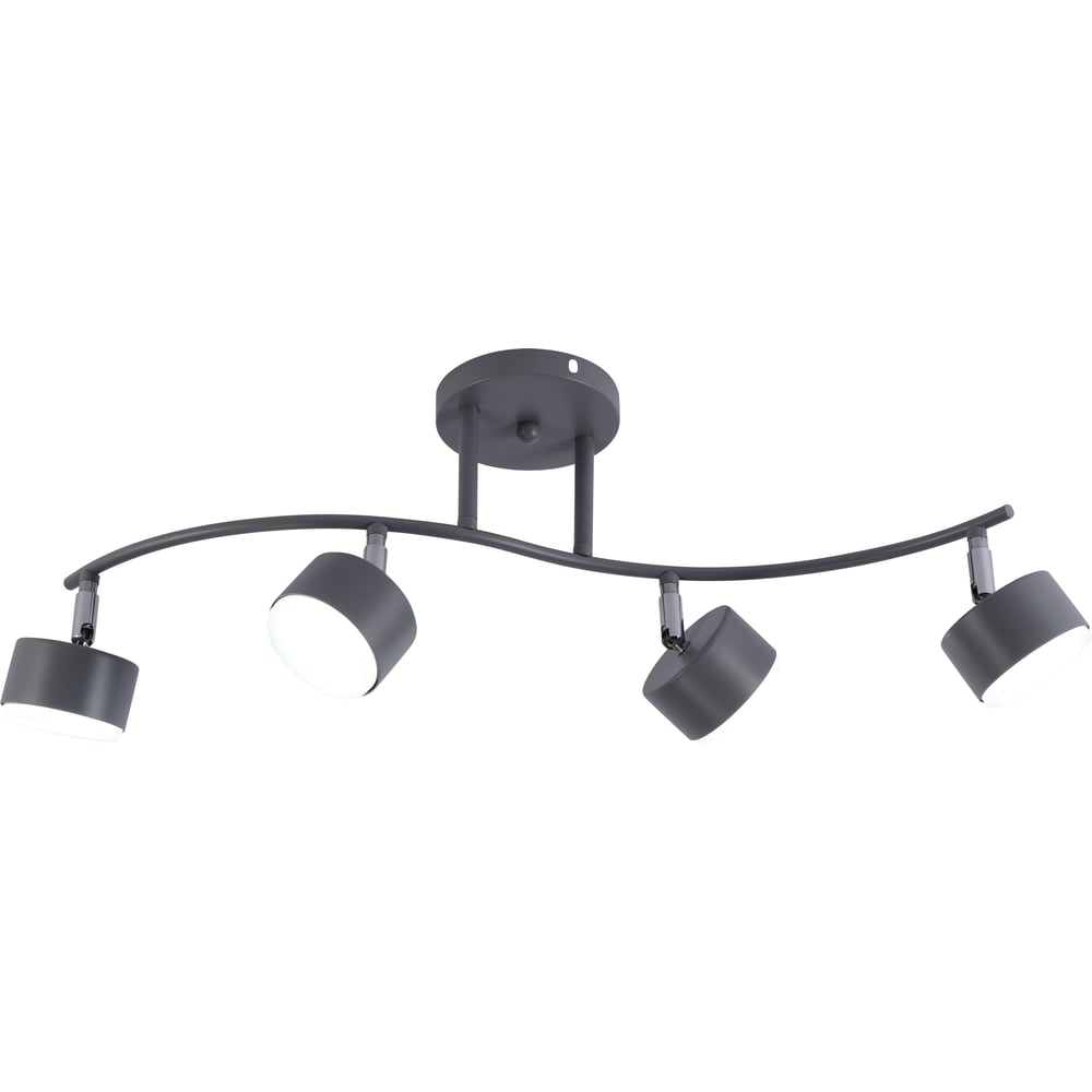 Изображение товара Настенно-потолочный светильник Rivoli Vivien 7077-704 4xGX53 15 Вт современный дизайн