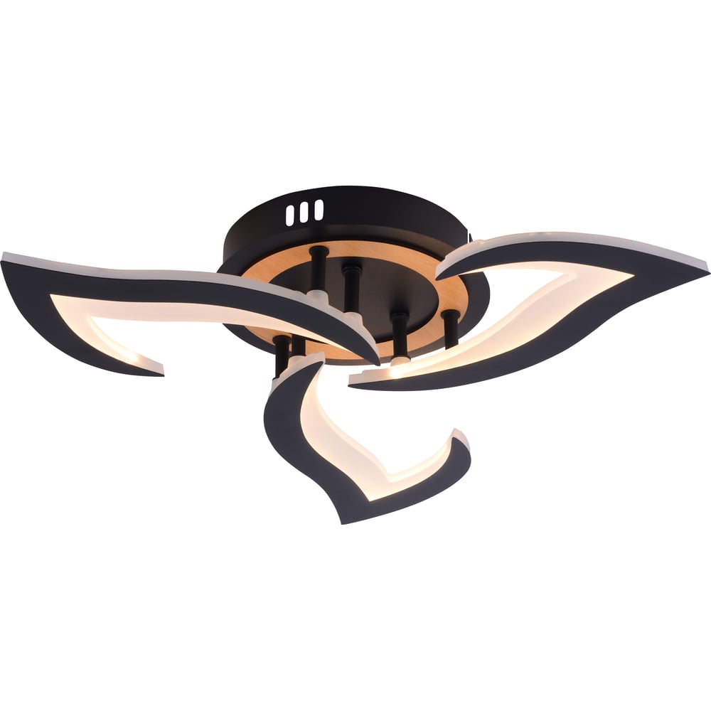 Изображение товара Современный потолочный светильник Rivoli Cassandra с регулируемой цветностью и пультом