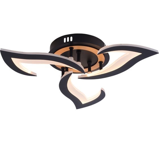 Изображение товара Светильник потолочный светодиодный Rivoli Cassandra 6194-703 LED 3000-6250К 42 Вт с пультом Б0070140