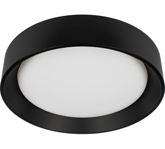 Изображение товара Потолочный светодиодный светильник LOFT IT Coin 10202 BB