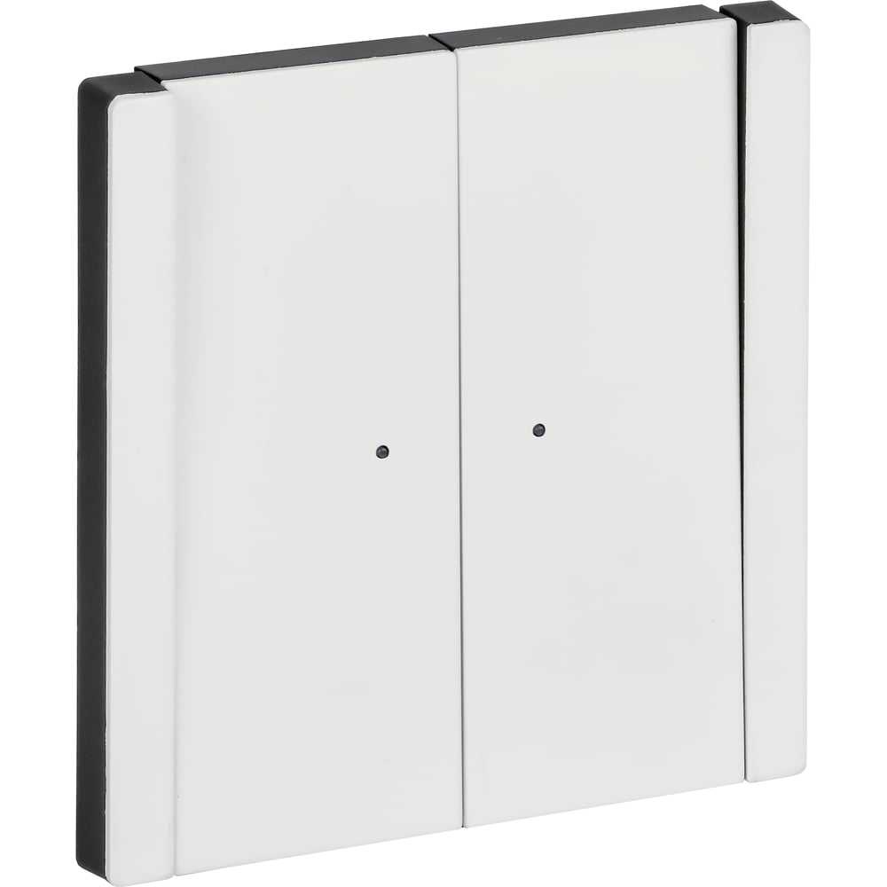 Изображение товара Выключатель 2-клавишный IEK FORTE&PIANO FP206M с индикацией белый