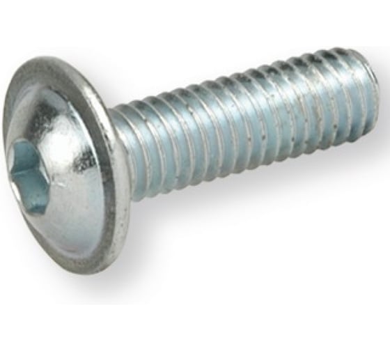 Изображение товара Винт с полукруглой головкой Море-Метизов под звездочку с фланцем, шлиц TORX ISO7380-2 А2,M5X18/18 TX25 мм,500 шт VINT73802ZA2M5X1818TX25500М