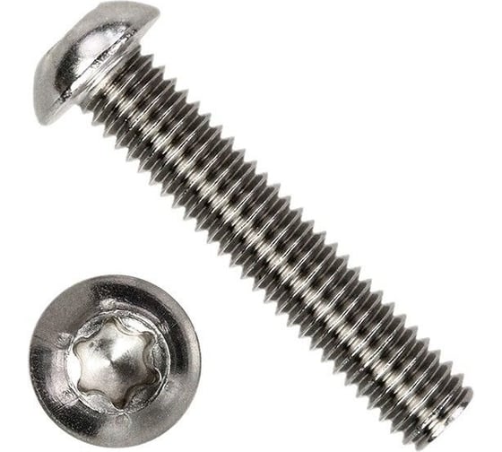 Изображение товара Винт с полукруглой головкой Море-Метизов шлиц TORX звездочку ISO7380-1 А2,M5X12/12 TX25 мм,500 шт VINT73801ZA2M5X1212TX25500М