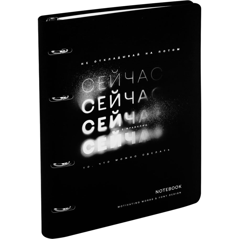 Изображение товара Бизнес-тетрадь BRAUBERG VISTA А5 на кольцах 120л экокожа офисная школьная