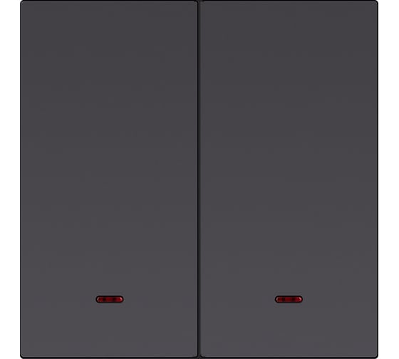 Изображение товара Выключатель 2-клавишный SMARTBUY Альтаир с индикатором, независимый, 10А, черный SBE-i11b-10-SW2-1