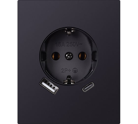 Изображение товара Розетка одноместная SMARTBUY с заземлением USB+Type-C модульная 16А черная акрил Альтаир SBE-m11ba-16-S1-USB