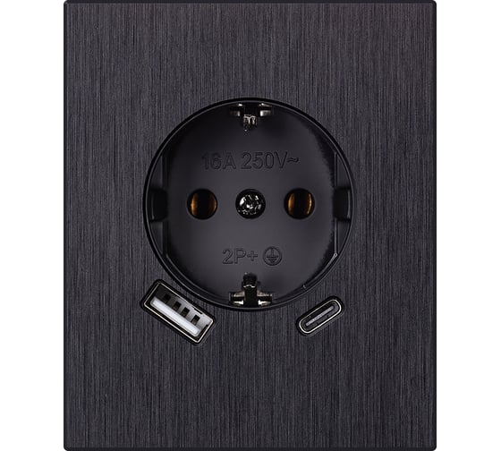 Изображение товара Розетка одноместная SMARTBUY с заземлением USB+Type-C модульная 16А алюминий черный Альтаир SBE-m11alb-16-S1-USB