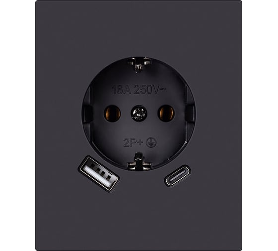 Изображение товара Розетка одноместная SMARTBUY с заземлением USB+Type-C модульная 16А черная Альтаир SBE-m11b-16-S1-USB
