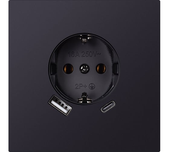 Изображение товара Розетка одноместная SMARTBUY с заземлением USB+Type-C независимая 16А черная акрил Альтаир SBE-i11ba-16-S1-USB