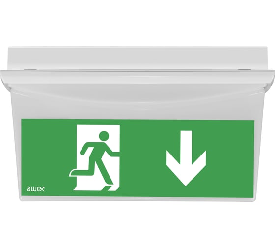 Изображение товара Аварийный светильник Awex TIGER DS постоянный 8W 3ч на потолок IP22 без пиктограммы TGS/3/SA
