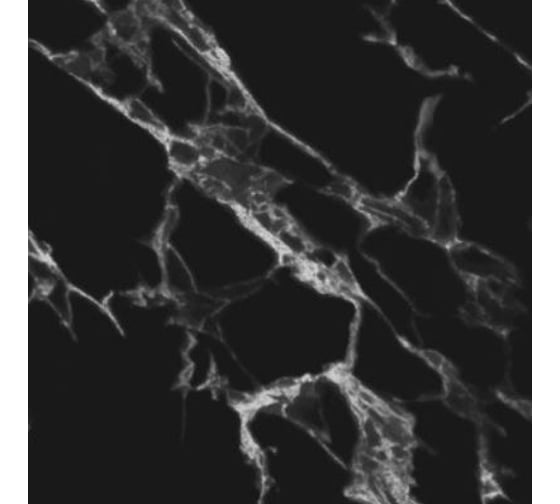 Изображение товара Кухонный фартук АБС Light STELLA Крестола Black 600*3000*0,75мм ЦБ-00015513