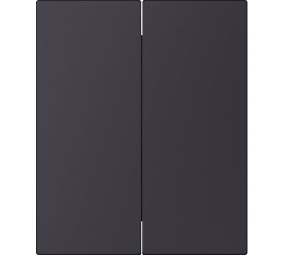 Изображение товара Выключатель 2-клавишный SMARTBUY модульный 10А черный акрил Альтаир SBE-m11ba-10-SW2-0