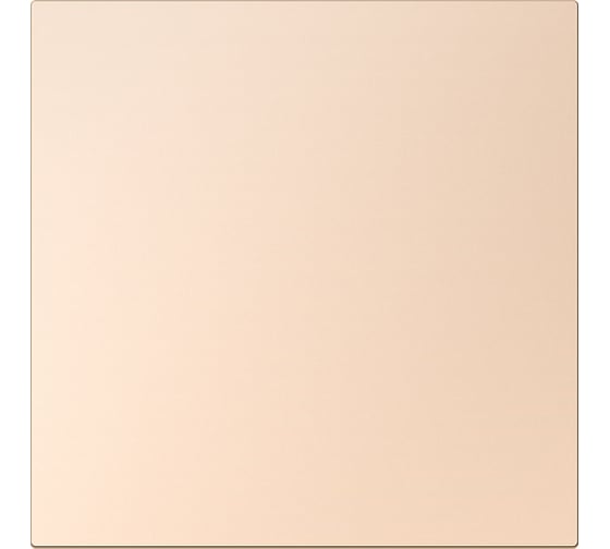 Изображение товара Выключатель 1-клавишный SMARTBUY независимый 10А шампань акрил Альтаир SBE-i11ia-10-SW1-0