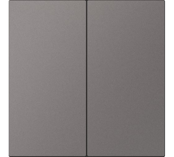 Изображение товара Выключатель 2-клавишный SMARTBUY независимый 10А графит Альтаир SBE-i11g-10-SW2-0