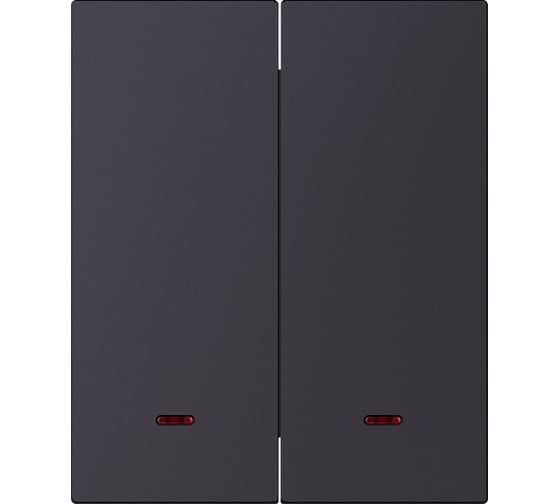 Изображение товара Выключатель 2-клавишный SMARTBUY с индикатором модульный 10А черный акрил Альтаир SBE-m11ba-10-SW2-1