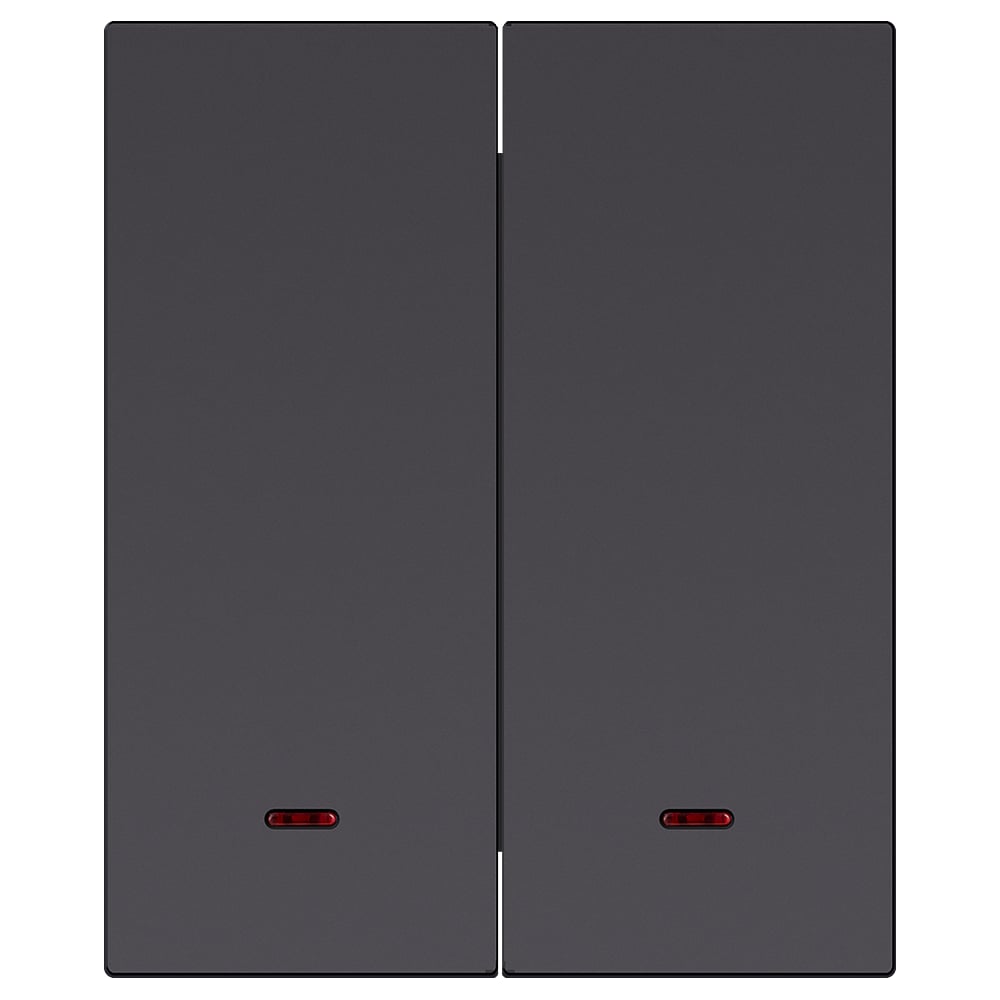 Изображение товара Выключатель 2-клавишный SMARTBUY с индикатором модульный 10А черный Альтаир SBE-m11b-10-SW2-1