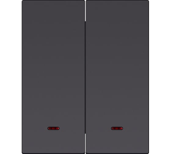 Изображение товара Выключатель 2-клавишный SMARTBUY с индикатором модульный 10А черный Альтаир SBE-m11b-10-SW2-1