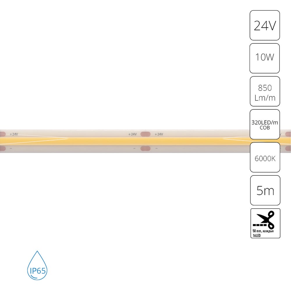 Изображение товара Светодиодная лента ARTE LAMP 24В 10Вт/м 850Лм/м 6000К 90 8мм COB 320ш A2432008-06-6K Изображение товара Светодиодная лента ARTE LAMP 24В 10Вт/м 850Лм/м 6000К 90 8мм COB 320ш A2432008-06-6K