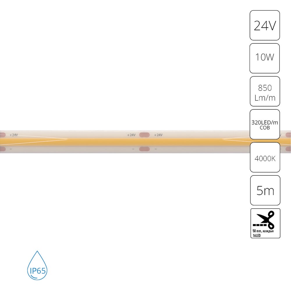 Изображение товара Светодиодная лента ARTE LAMP 24В 10Вт/м 850Лм/м 4000К 90 8мм COB 320ш A2432008-05-4K Изображение товара Светодиодная лента ARTE LAMP 24В 10Вт/м 850Лм/м 4000К 90 8мм COB 320ш A2432008-05-4K