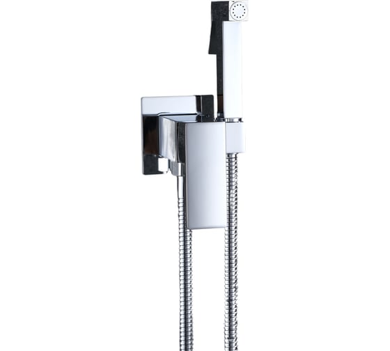 Изображение товара Встраиваемый смеситель c гигиеническим душем RUSH Thira TR3635-99