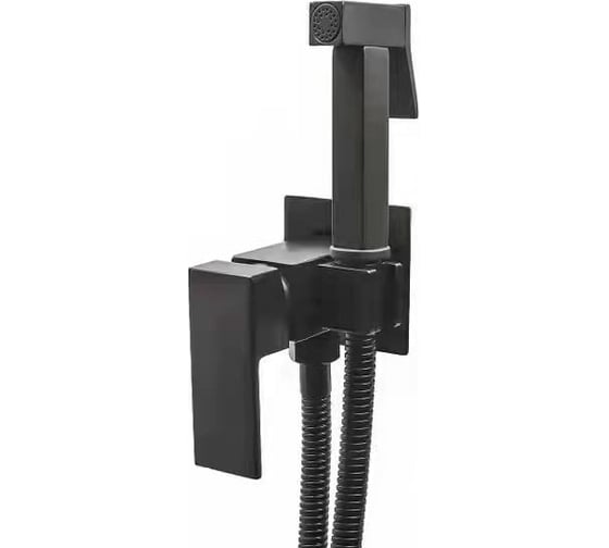 Изображение товара Встраиваемый смеситель c гигиеническим душем RUSH Thira TR3635-99Black