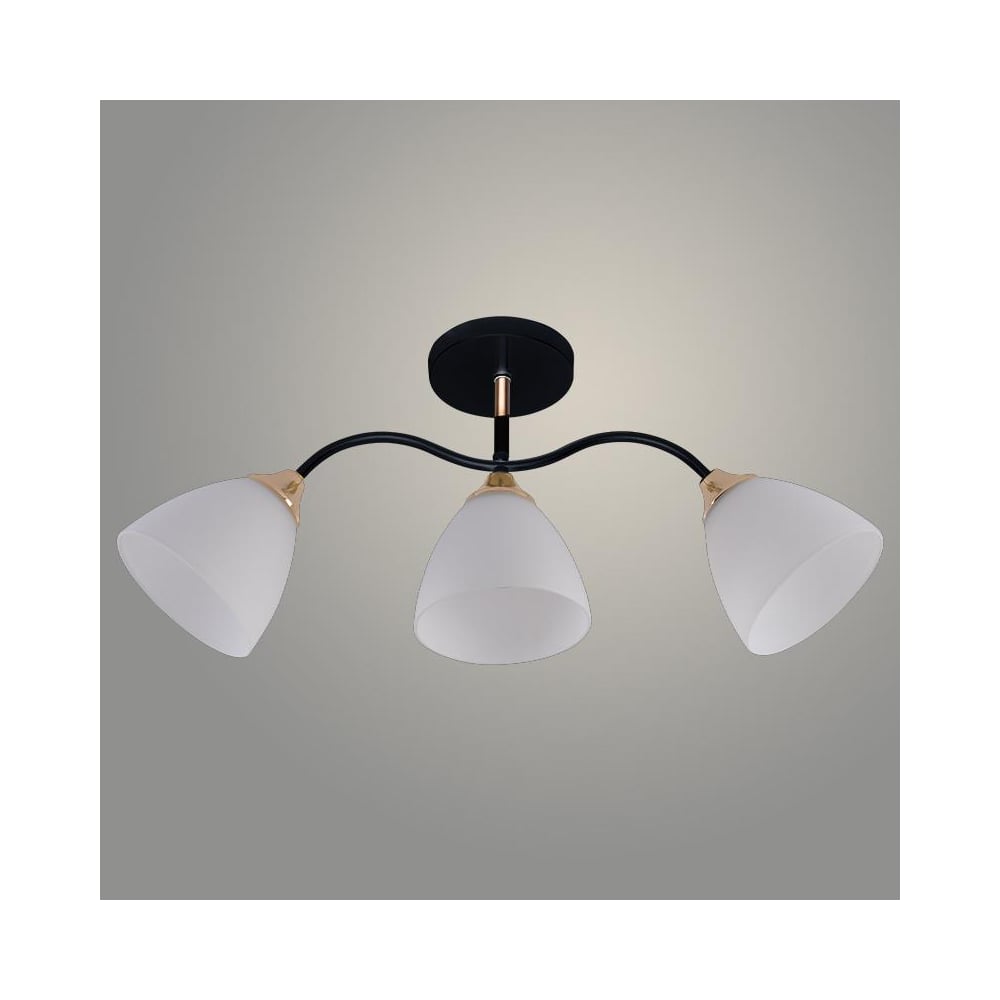 Изображение товара Люстра РОСТОК XA1643A/3 BK+FGD черный/золото 3х60W E27 d600 h270, HN25 988391377 Изображение товара Люстра РОСТОК XA1643A/3 BK+FGD черный/золото 3х60W E27 d600 h270, HN25 988391377