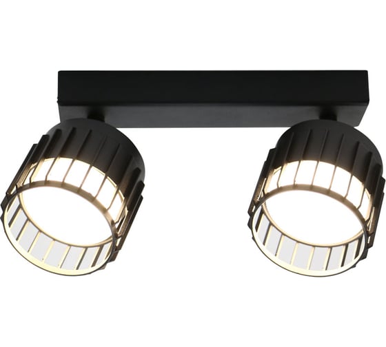 Изображение товара Спот на основании General Lighting Systems под лампу GX53, серия Клетка, GWL-2GX53-M-IP20, цвет черный 662685