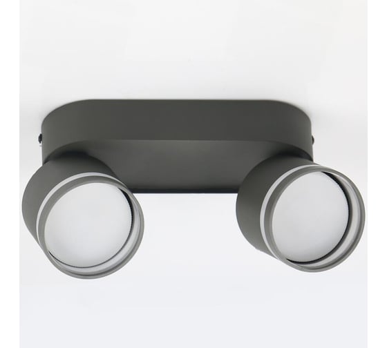 Изображение товара Спот на основании General Lighting Systems под 2 лампы GX53, серия Вихрь, GWL-2GX53-M-IP20, цвет графит 662021
