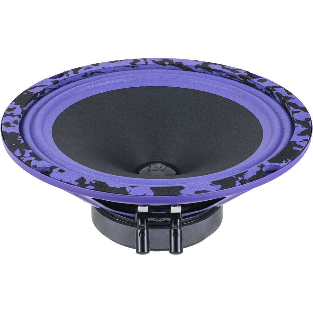 Изображение товара Акустическая система DL AUDIO Piranha 200 v.2