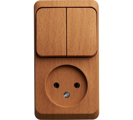 Изображение товара Наружный блок Systeme Electric Этюд, Бук, Розетка б/з + 2-клавишный выключатель SE BPA16-205T