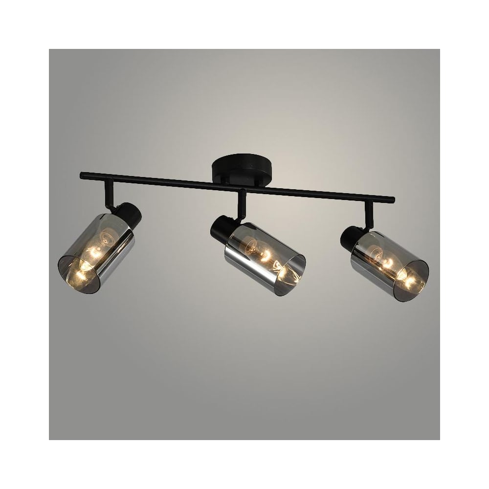 Изображение товара Спот Спот 23810/3 Черный с дымчатым плафоном - 3x40W E14