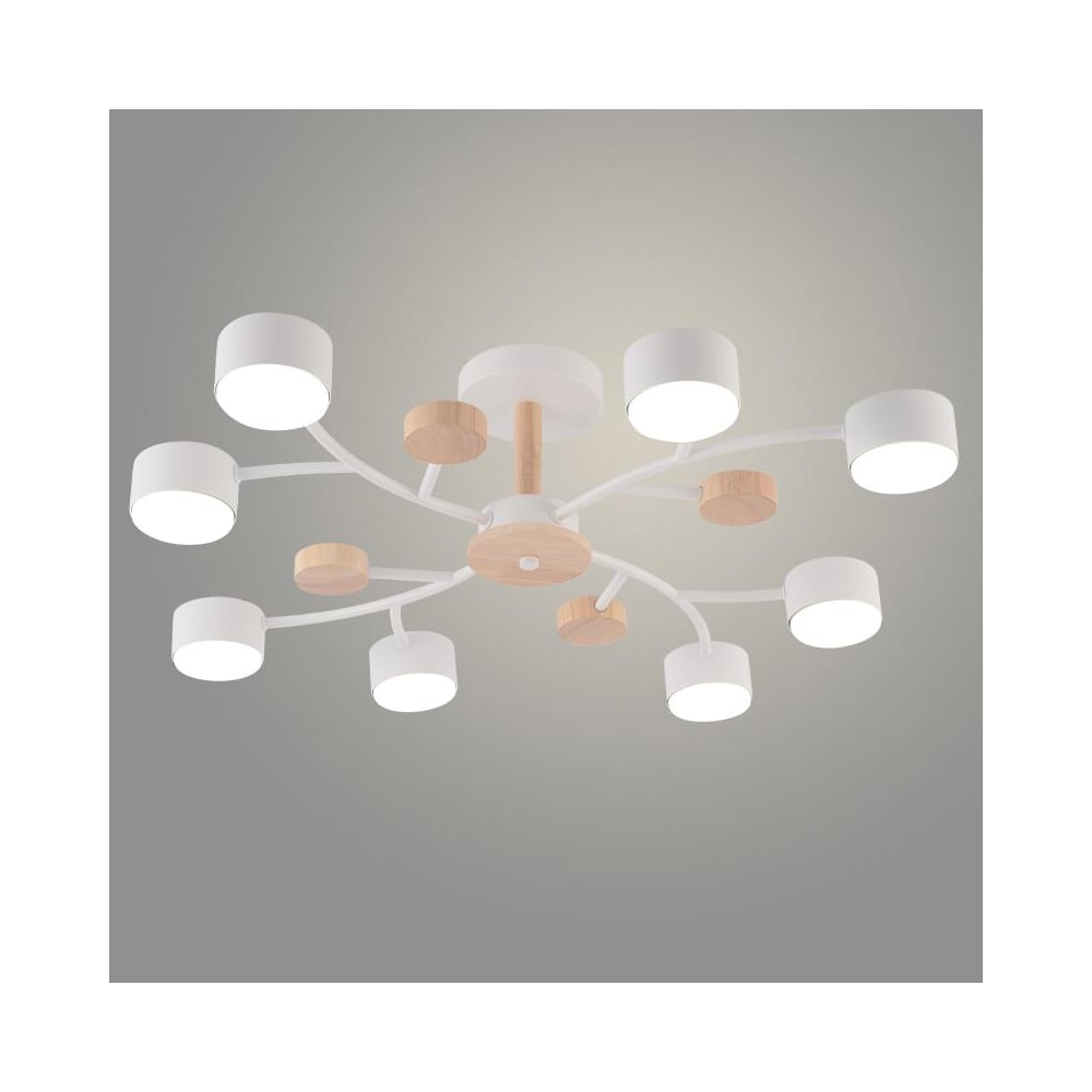 Изображение товара Люстра РОСТОК XI1002/8 WT+WOOD белый/дерево 8х15W GX53 d720 h170, HN25 988391268 Изображение товара Люстра РОСТОК XI1002/8 WT+WOOD белый/дерево 8х15W GX53 d720 h170, HN25 988391268