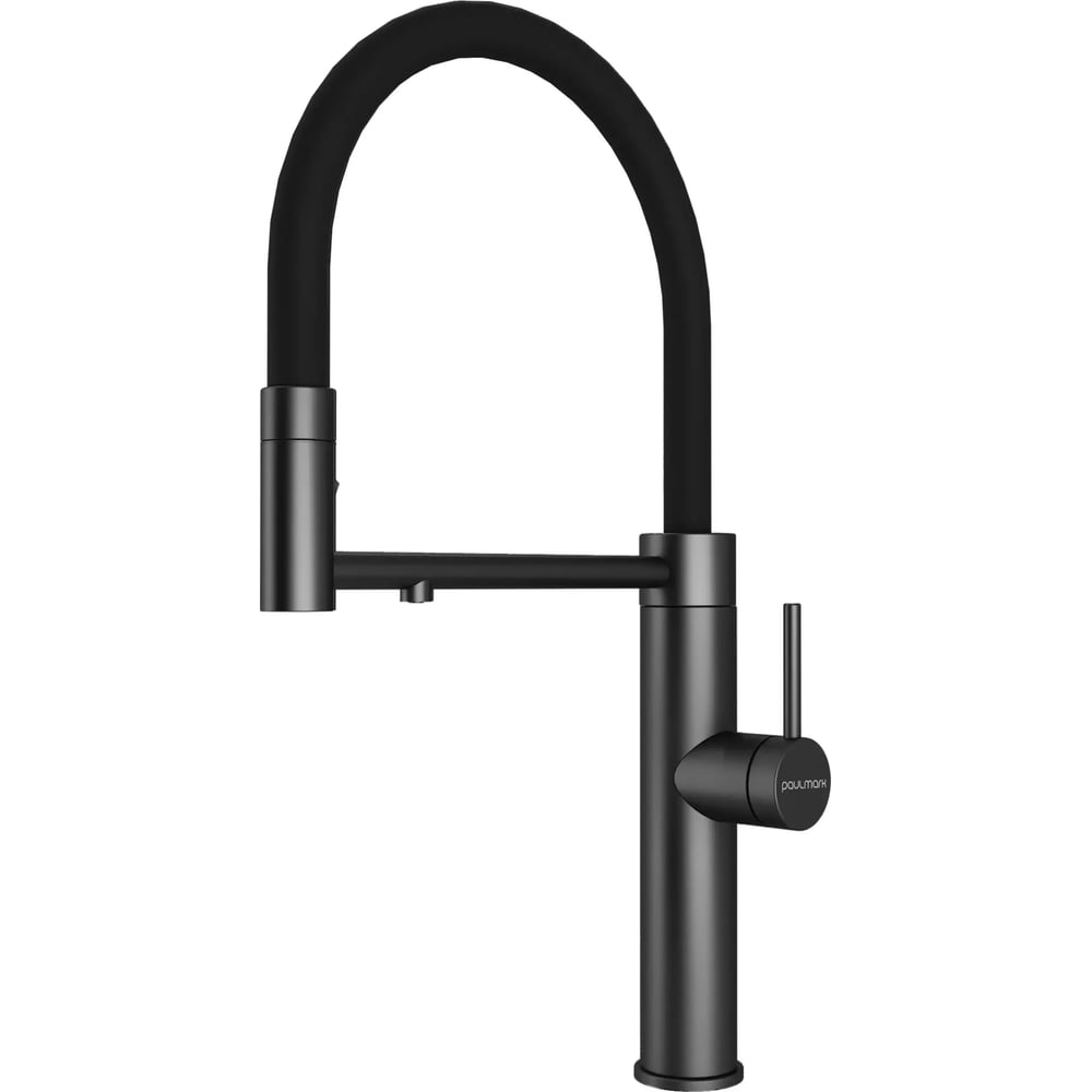 Изображение товара Смеситель для кухни Paulmark GANYMEDE Starke вороненая сталь Ga213199-GM