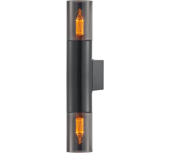 Изображение товара Бра General Lighting Systems Эйлайт GWL-2E14-M-IP20 под 2 лампы E14, черный, дымчатый 662809