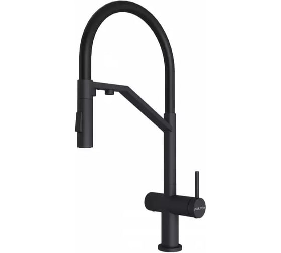 Изображение товара Смеситель для кухни Paulmark ZENDER, антрацит Ze213155-AN