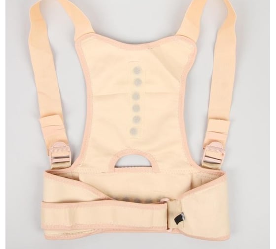 Изображение товара Массажер-фиксатор осанки и поясницы ONLITOP р-р L-XL, на фастексах, бежевый, пакет ОТ 5152655