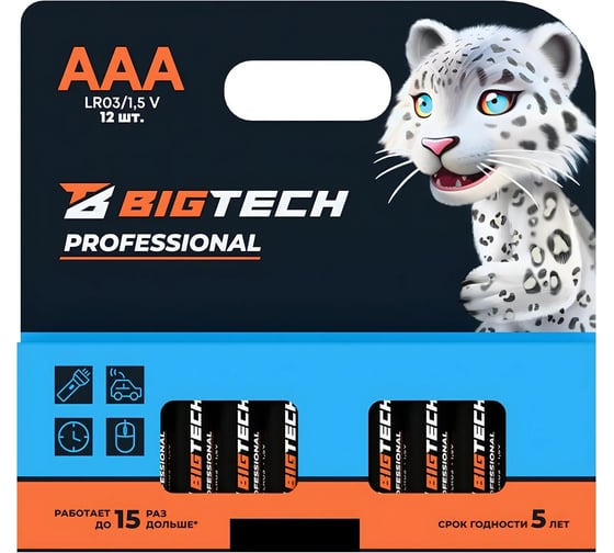 Изображение товара Батарейка BigTech Professional ААA/LR03 упаковка/12шт 1988426