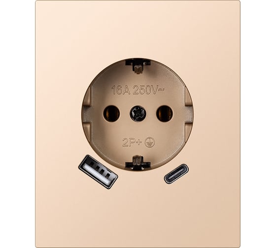 Изображение товара Розетка одноместная с заземлением Smartbuy USB+Type-C модульная 16А шампань акрил Альтаир SBE-m11ia-16-S1-USB